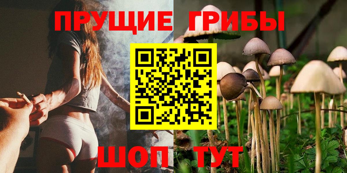 Рославль  Галлюциногенные грибы ЛСД  Вход с VPN 