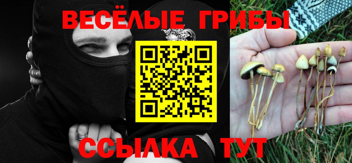 Галлюциногенные грибы прущие грибы Рославль